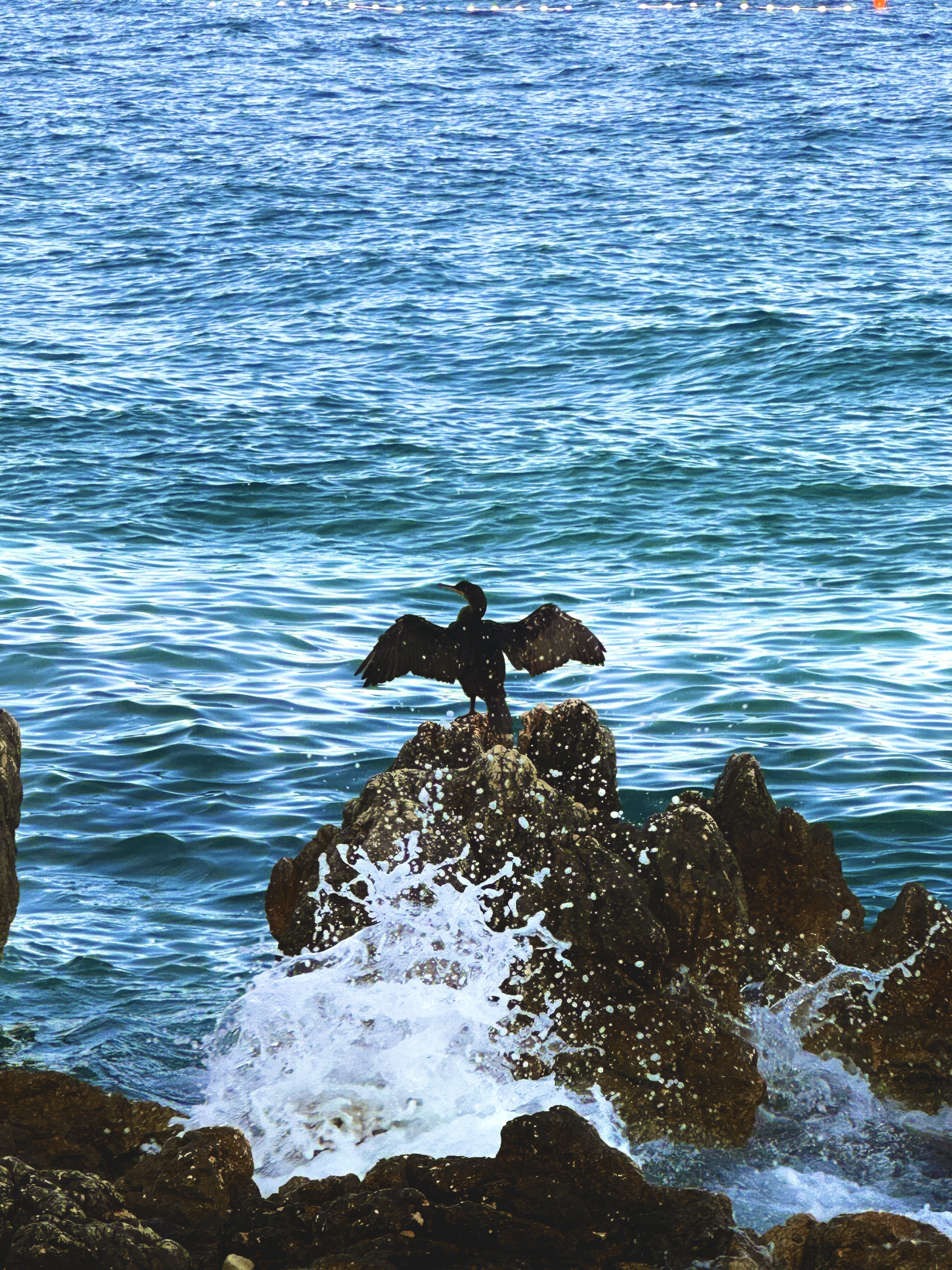 photo of a black bird sitting with its wings spread on a rock with waves crashing into it and sea behind